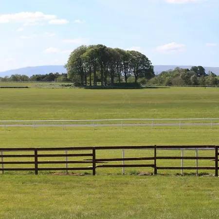 Harry's House * Ballinrobe