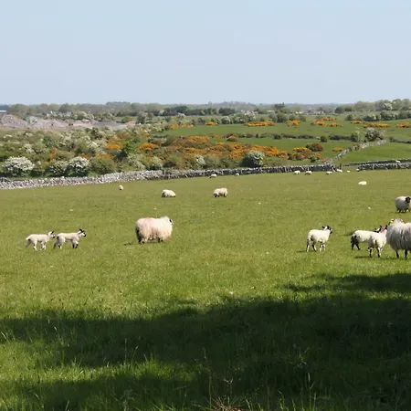 Harry's House Ballinrobe