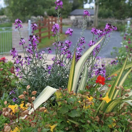 Apartament Harry's House *