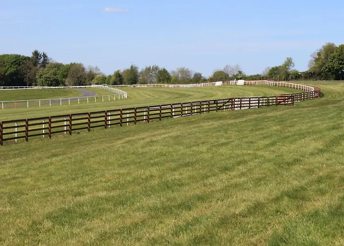 Lägenhet Harry's House Ballinrobe