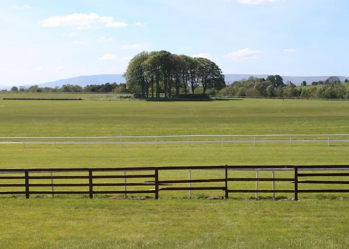 Harry's House * Ballinrobe