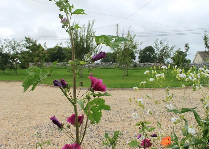 Harry's House Apartman *