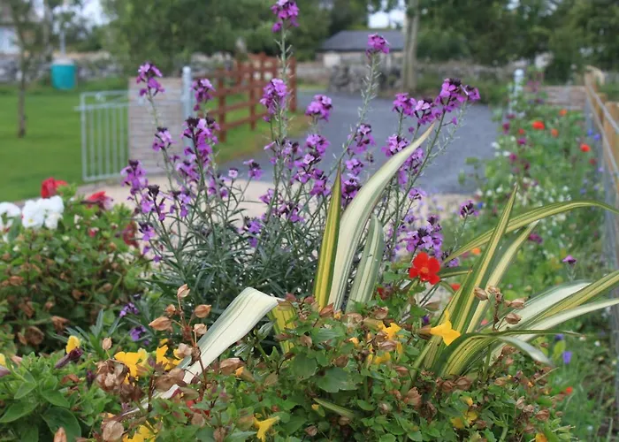 Apartman Harry's House *